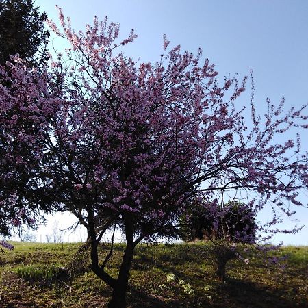 La Cascina Dei Banditi Costigliole d’Asti Kültér fotó